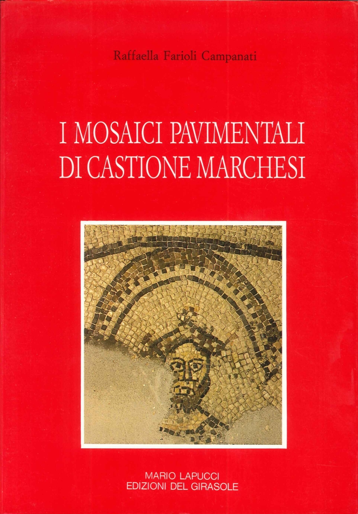 libro_i-mosaici-pavimentali-di-castione-marchesi_copertina
