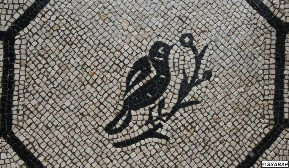 roma_tomba-di-Fadilla_dettaglio-mosaico_foto-ssabap