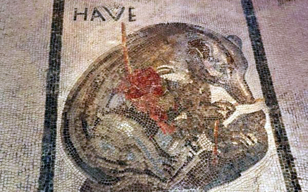 pompei_Casa dell'Orso ferito_iscrizione-HAVE_foto-parco-archeologico-pompei