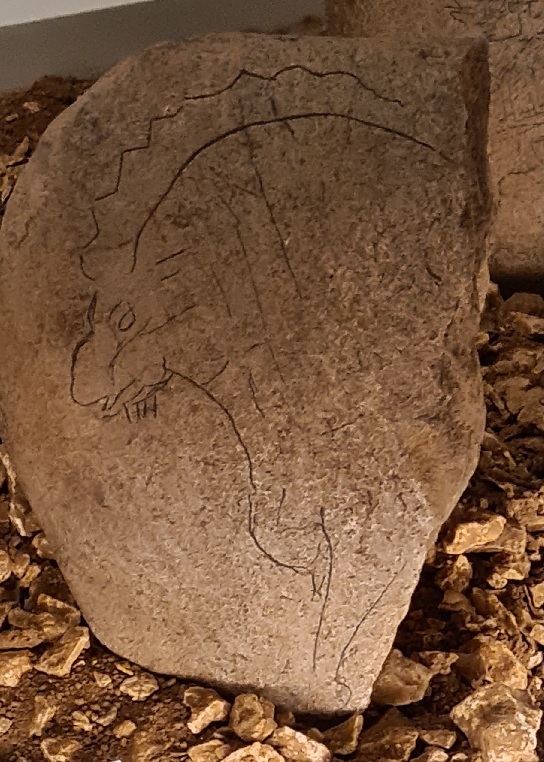 verona_archeologico_ciotolo-con-stambecco-da-riparo-tagliente_foto-graziano-tavan