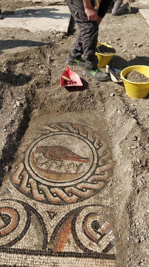 negrar_villa-dei-mosaici_peristilio-ovest_mosaici-con-raffigurazioni-animali_foto-sabap-vr