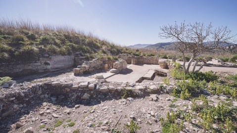 segesta_casa-del-navarca_mosaici_foto-parco-segesta