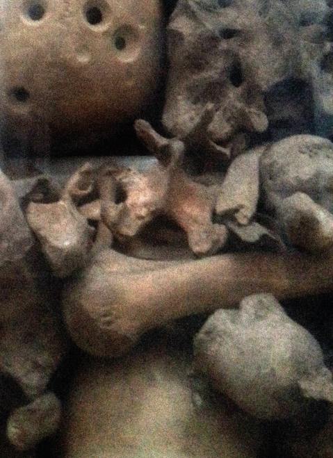 otranto_cappella-dei-martiri_resti-scheletrici_foto-MArTa