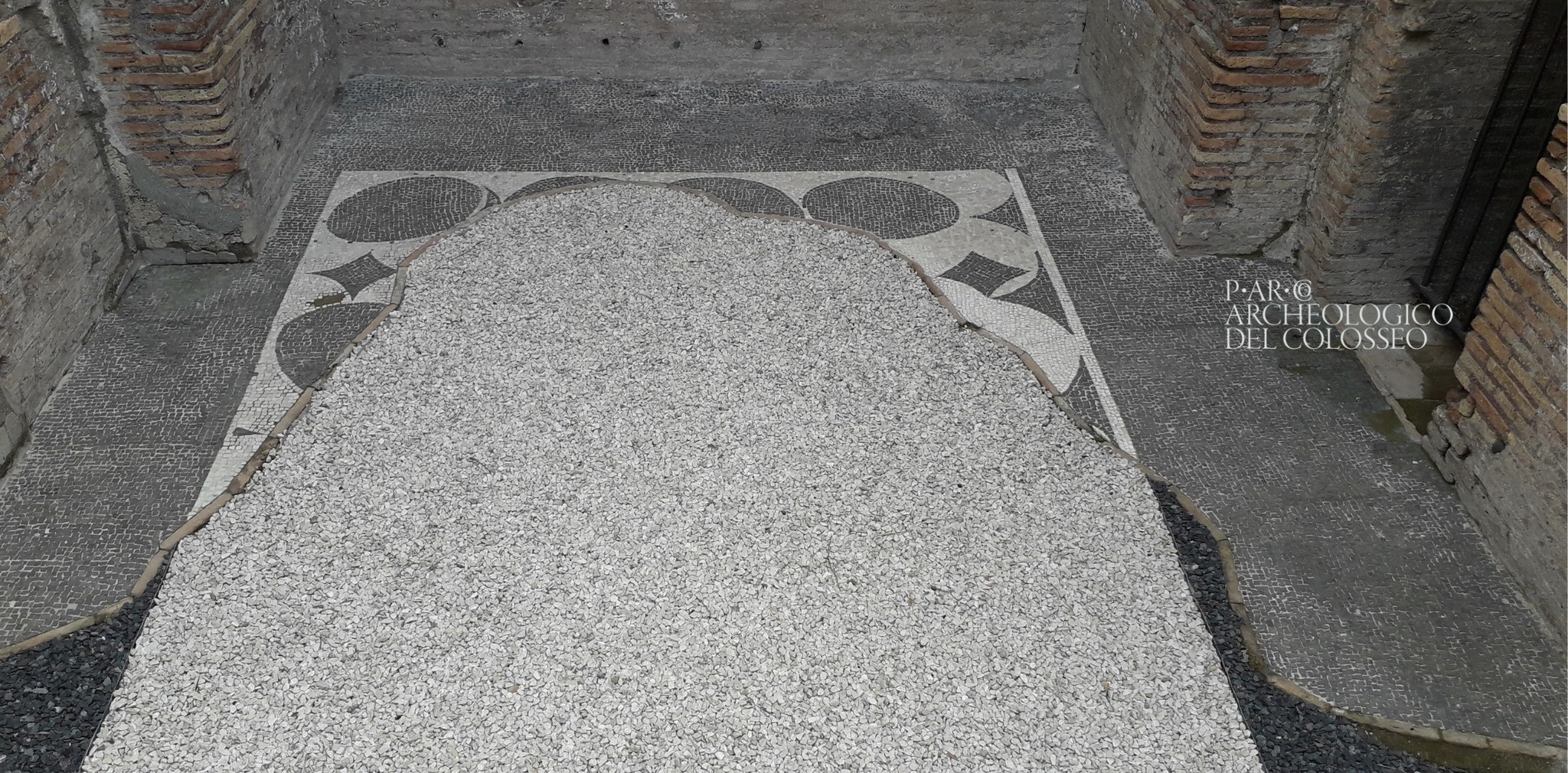 roma_palatino_paedagogium_mosaico-bianco-nero-con-ellissi_foto-PArCo