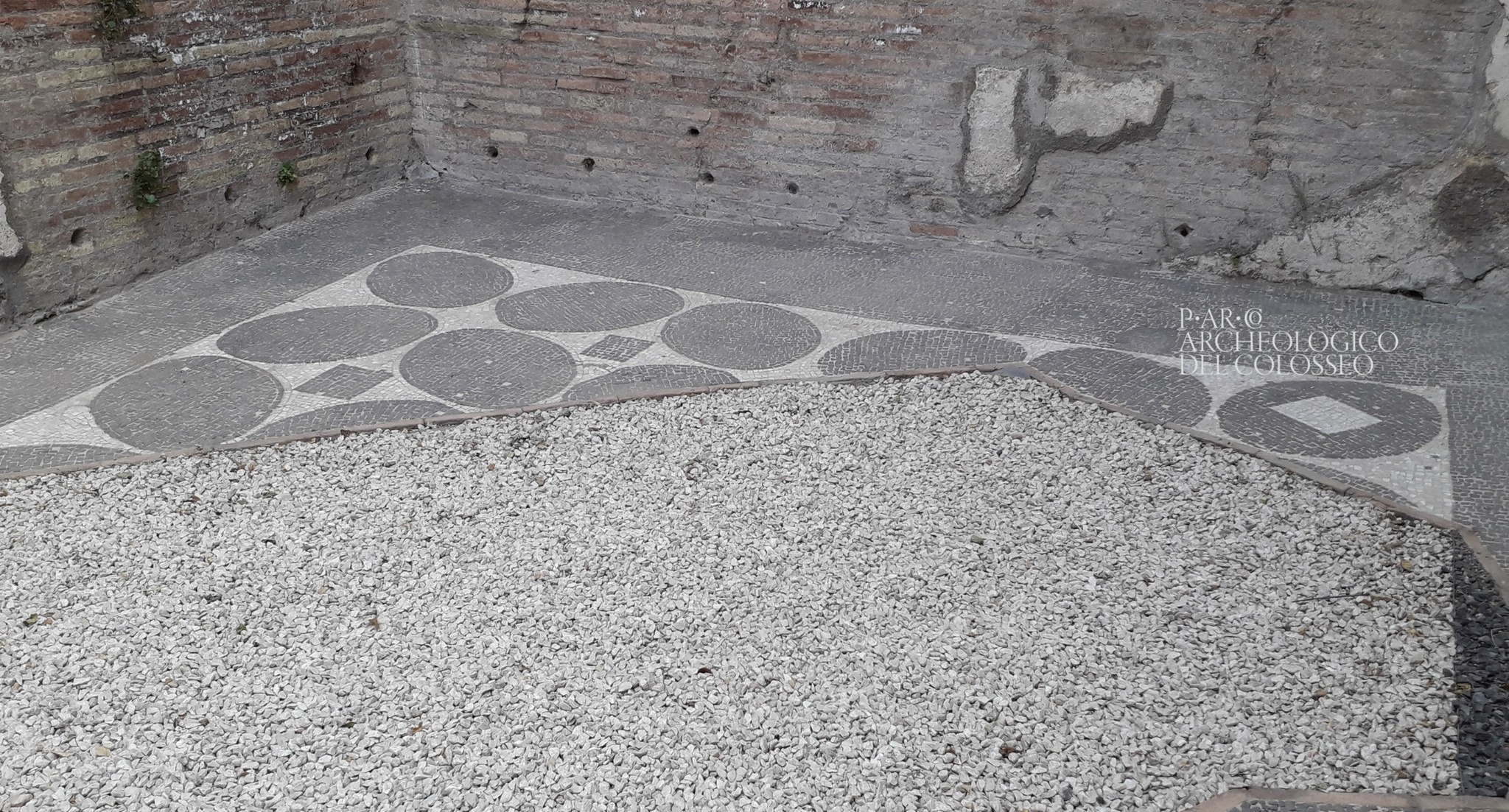roma_palatino_paedagogium_mosaico-bianco-nero_foto-PArCo