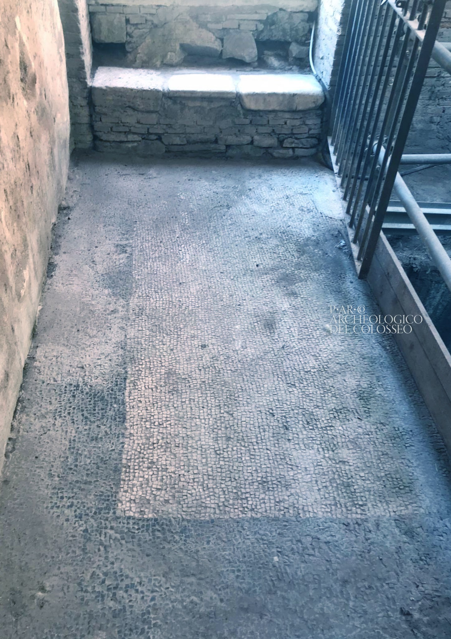 roma_palatino_paedagogium_mosaico-bianco_foto-PArCo