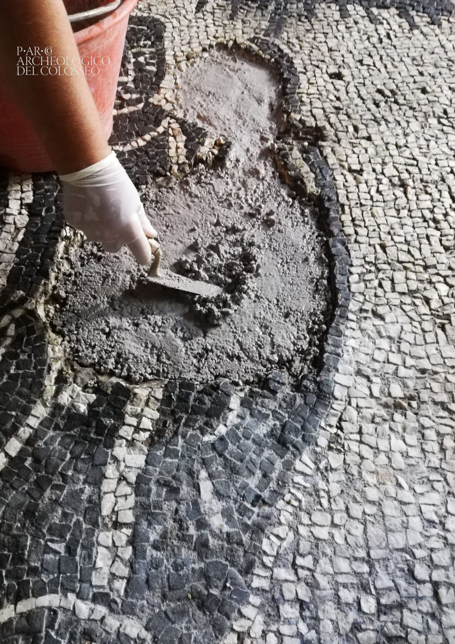 roma_palatino_schola-praeconum_mosaico-bianco-nero_restauro_foto-PArCo