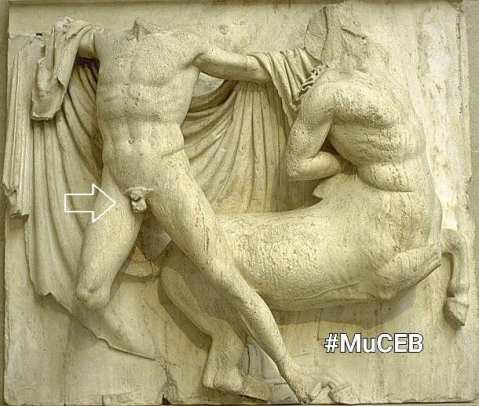 bugliano_museo-civico-etrusco_frammento-partenone_posizione-su-lastra-del-fregio_foto-muceb