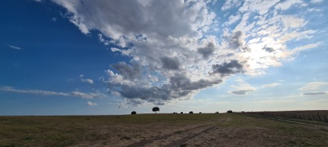 vulci_parco-archeologico-naturalistico_panorama_foto-graziano-tavan