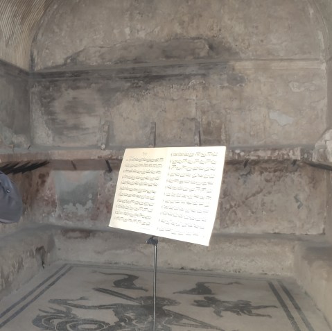 ercolano_festa-della-musica_un-leggio-tra-i-mosaici_foto-paerco