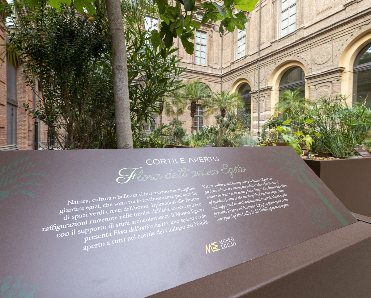 torino_egizio_cortile-aperto_4_foto-museo-egizio