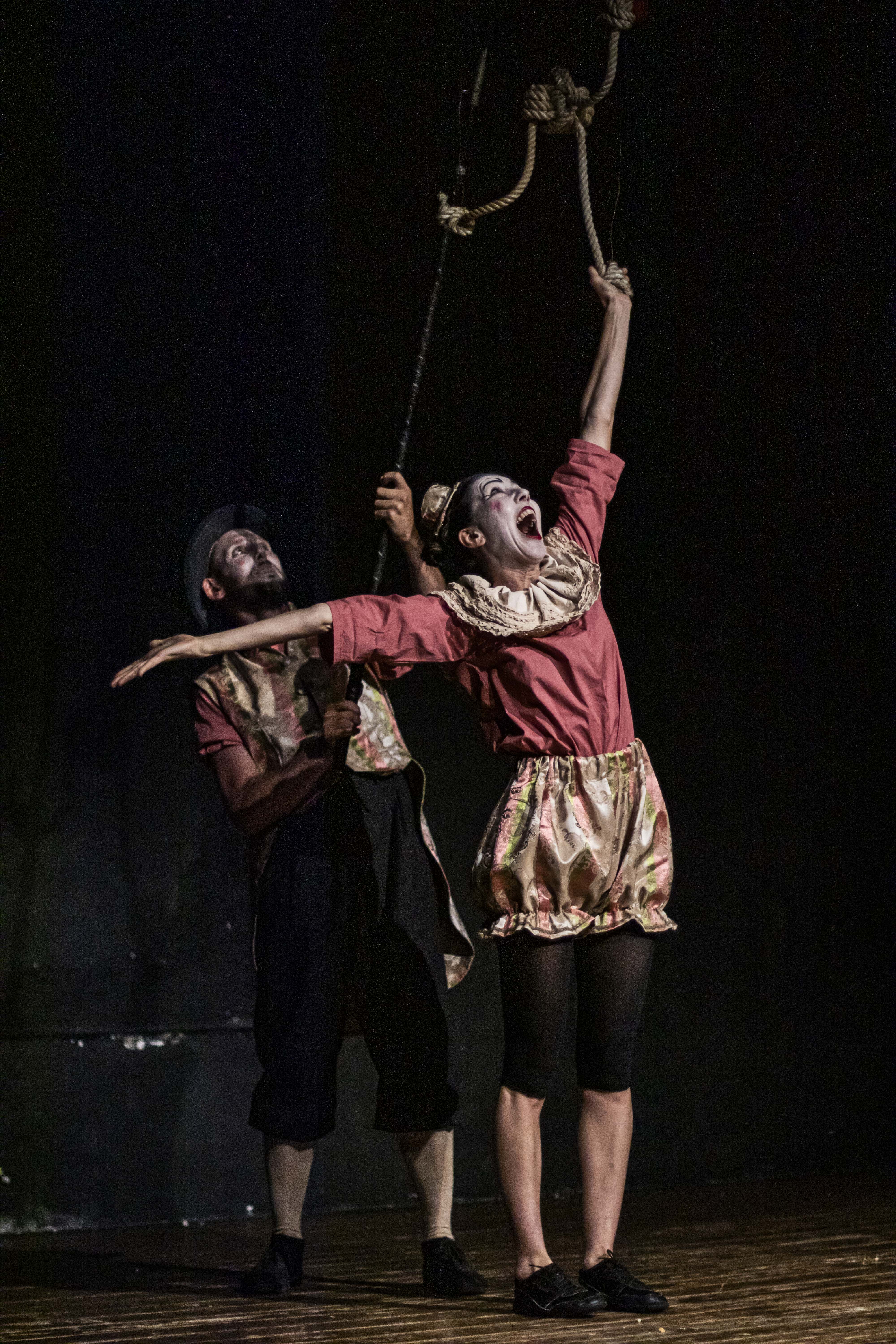 Créme e Brulèe circo-cerini_zipzone