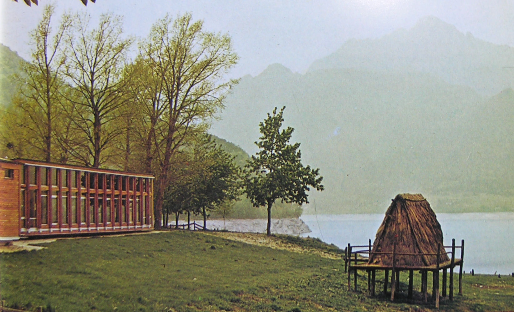 ledro_museo-delle-palafitte_ pubblicazione tomasi 1972_foto-muse