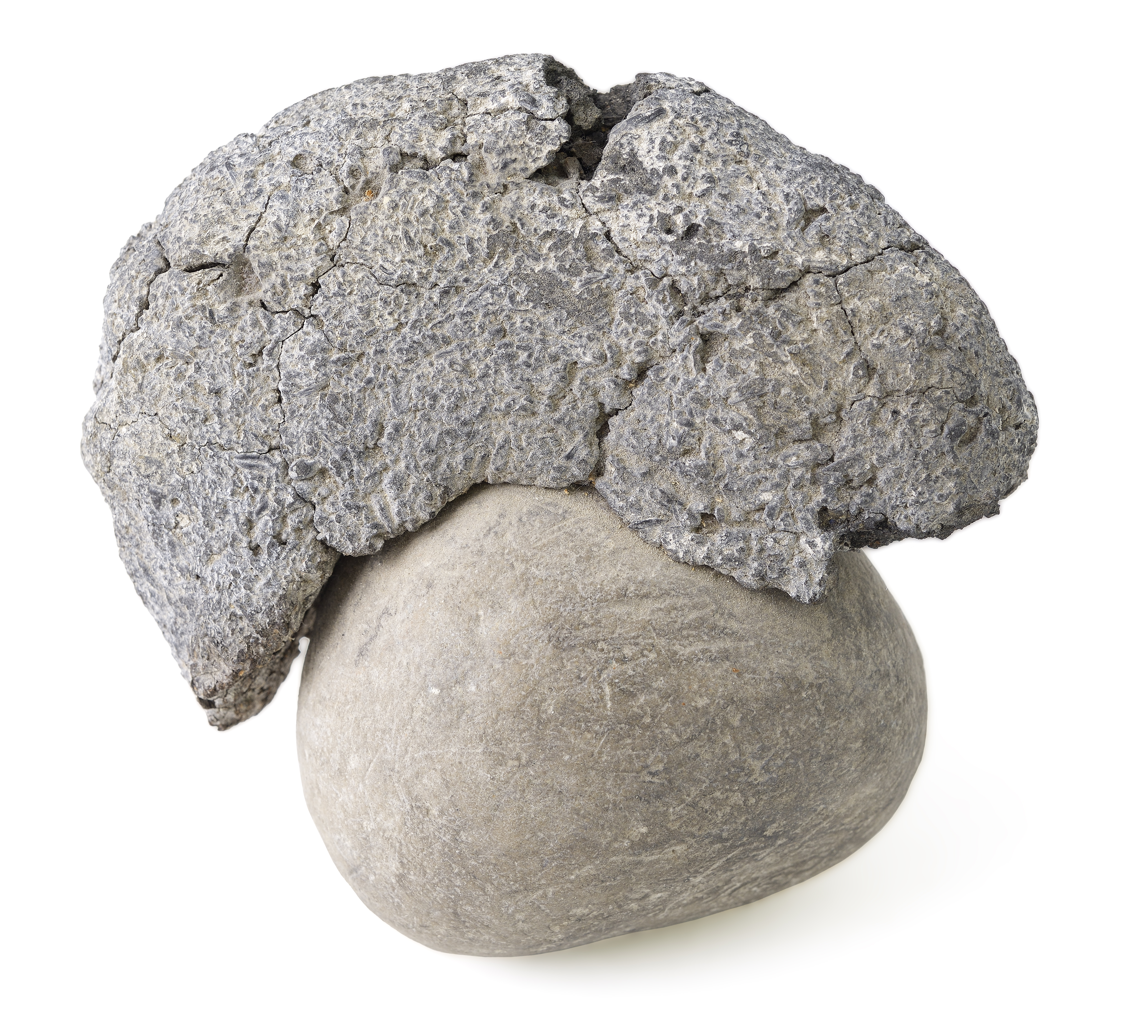 ledro_museo-delle-palafitte_ ricerca_pane-Ledro_foto-muse