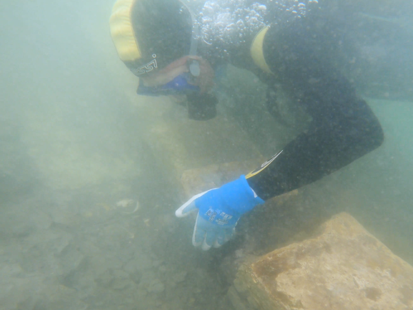 venezia_ca-foscari_scavi-sub-lio-piccolo_scoperto-allevamento-ostriche_i-gusci-di-epoca-romana_foto-unive
