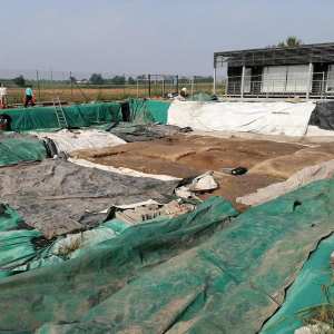 bagnolo-san-vito_parco-forcello_area-di-scavo_foto-unimi