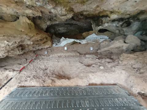 marina-di-camerota_grotta-del-poggio_scoperti-resti-elefante_area-di-scavo_foto-unibo