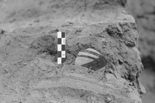 procida_scavo-vivara_Ceramica+micenea+in+situ_foto-missione-vivara