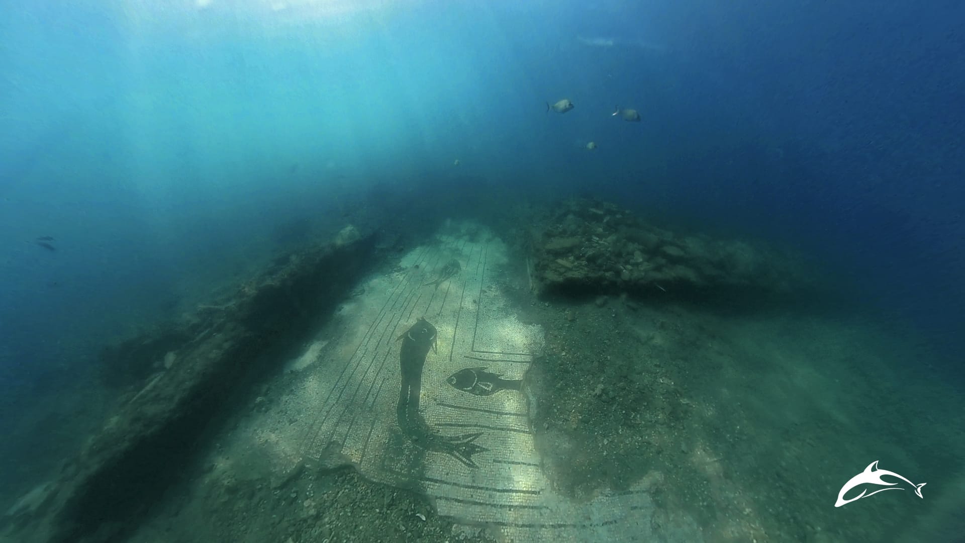 baia_pa-fleg_restauro-subacqueo-mosaico-dei-pesci_tonno-e-aguglia_foto-pa-fleg