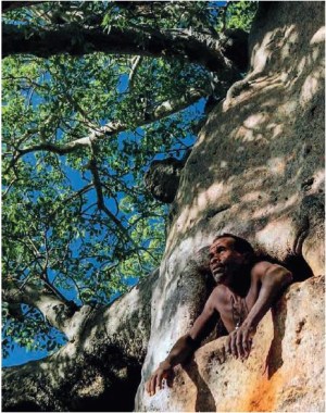 film_Mamody the Last Baobab Digger_Mamody l’ultimo scavatore di baobab
