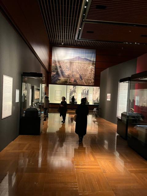 napoli_mann_mostra-pompeii-in-giappone 2_allestimento_foto-mann