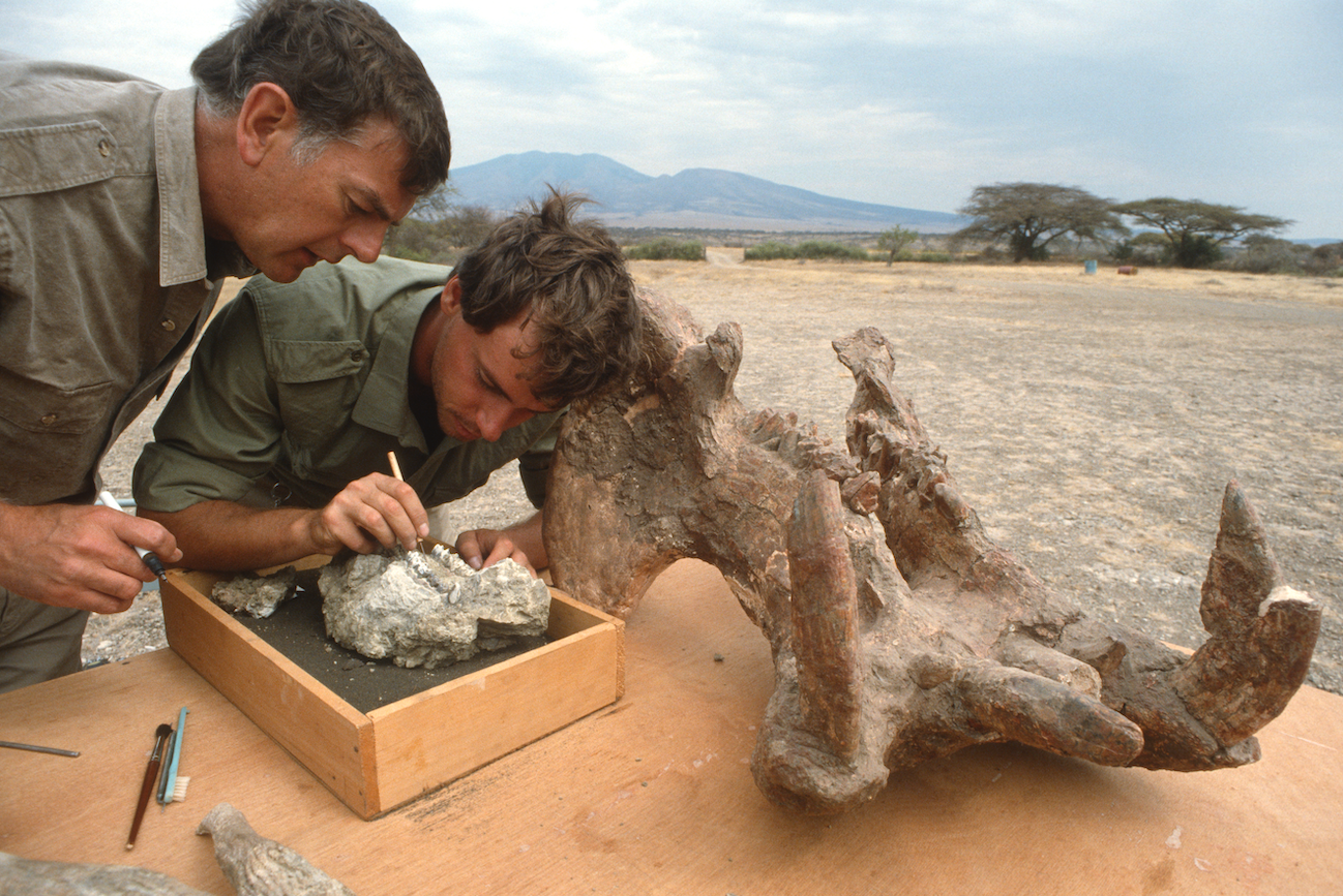 Tanzania_1987_Donald Johanson e Alberto Angela mentre esaminano resti fossili._foto-archivio-fondazione-ligabue