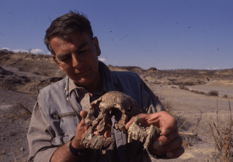 Tanzania_1987_Donald Johanson mostra il ritrovamento di un altro scheletro di ominide_foto-archivio-fondazione-ligabue
