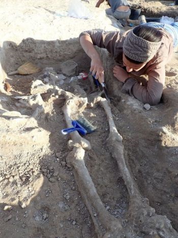 vulci_necropoli-ponte-rotto_scavo-sepoltura-inumato_foto-sabap-etru-mer