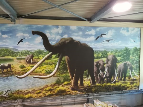 roma_museo-paleontologico-la-polledrara_ricostruzione-ambientale_foto-ssabap-roma