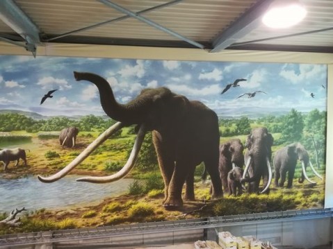 roma_museo-paleontologico-la-polledrara_ricostruzione-ambientale_foto-ssabap-roma