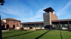 altino_archeologico_giardino_sopra-il-santuario-del-dio-altino_foto-drm-veneto