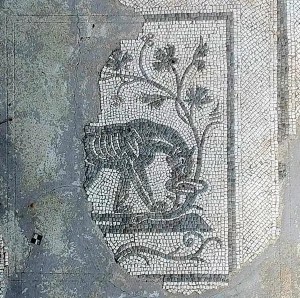 altino_museo_Mosaico della Domus della Pantera_foto-drm-veneto