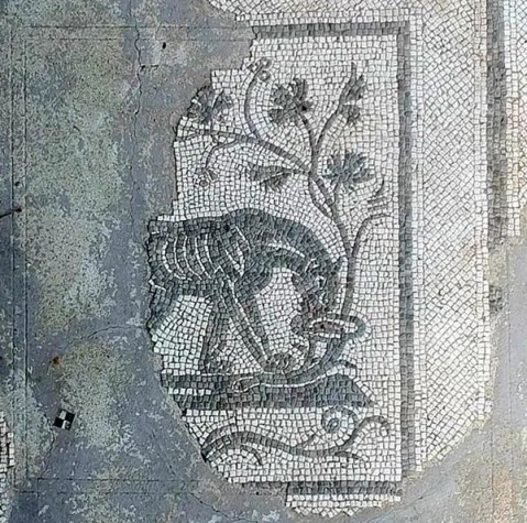altino_museo_Mosaico della Domus della Pantera_foto-drm-veneto