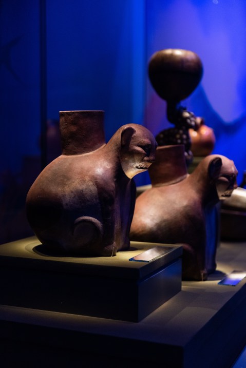 milano_mudec_mostra-machu-picchu-e-gli-imperi-d-oro-del-peru_allestimento_13_foto-mudec