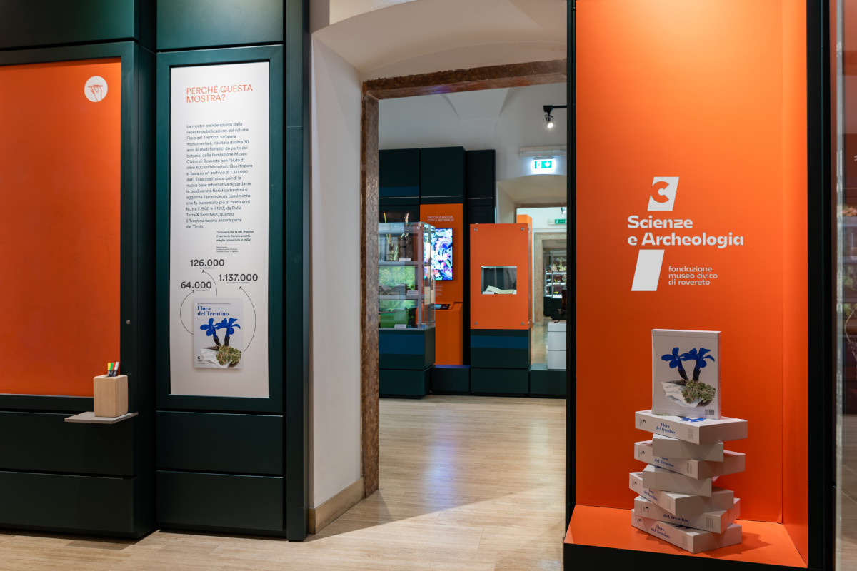 rovereto_museo-civico_scienze-e-archeologia_sala-espositiva_foto-fmcr