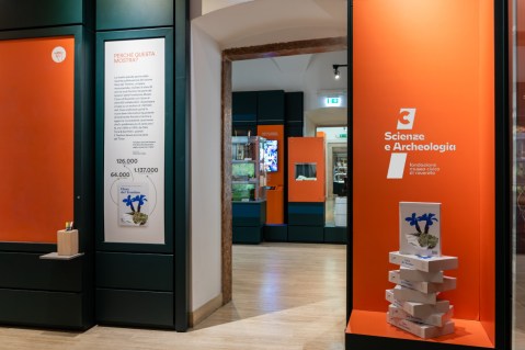 rovereto_museo-civico_scienze-e-archeologia_sala-espositiva_foto-fmcr