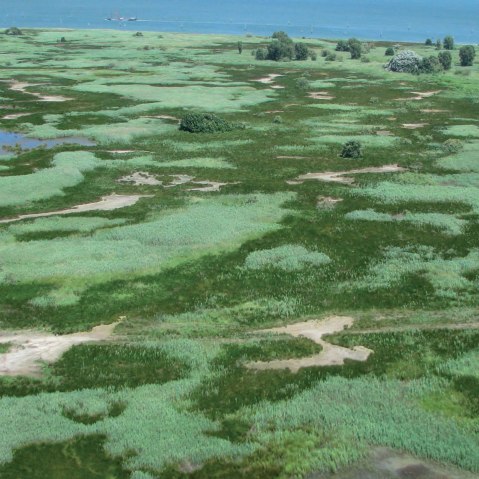 altino_laguna-circostante-l-area-archeologica_foto-drm-veneto
