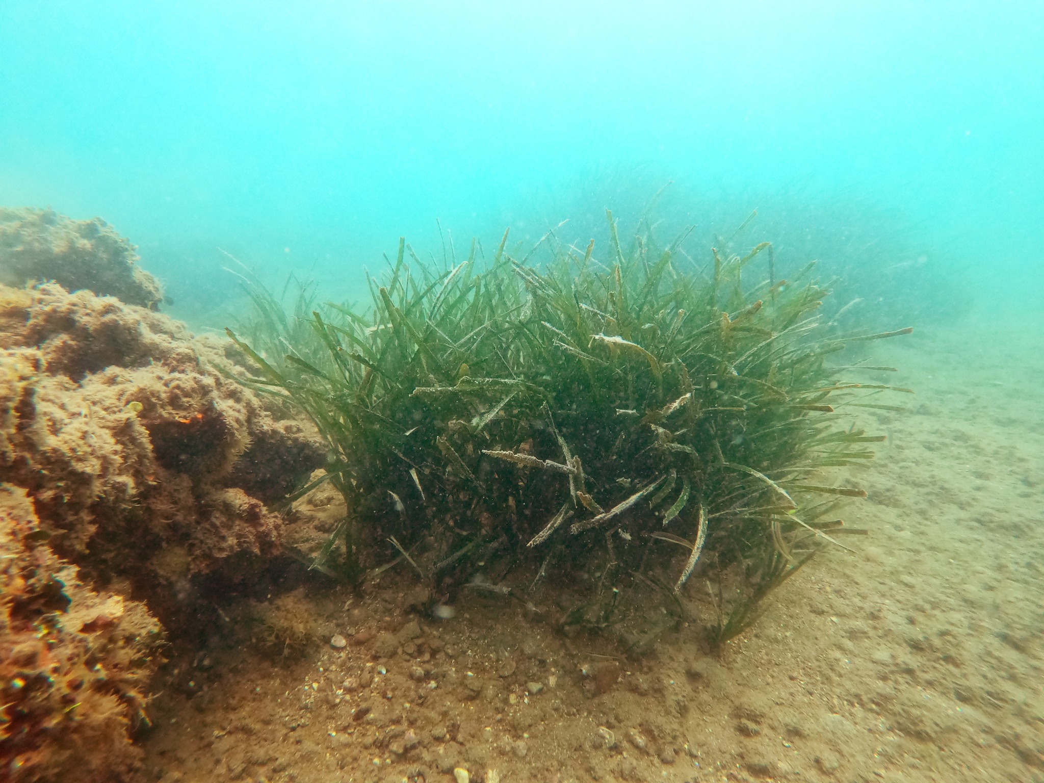 DCIM100GOPROGOPR0614.JPG