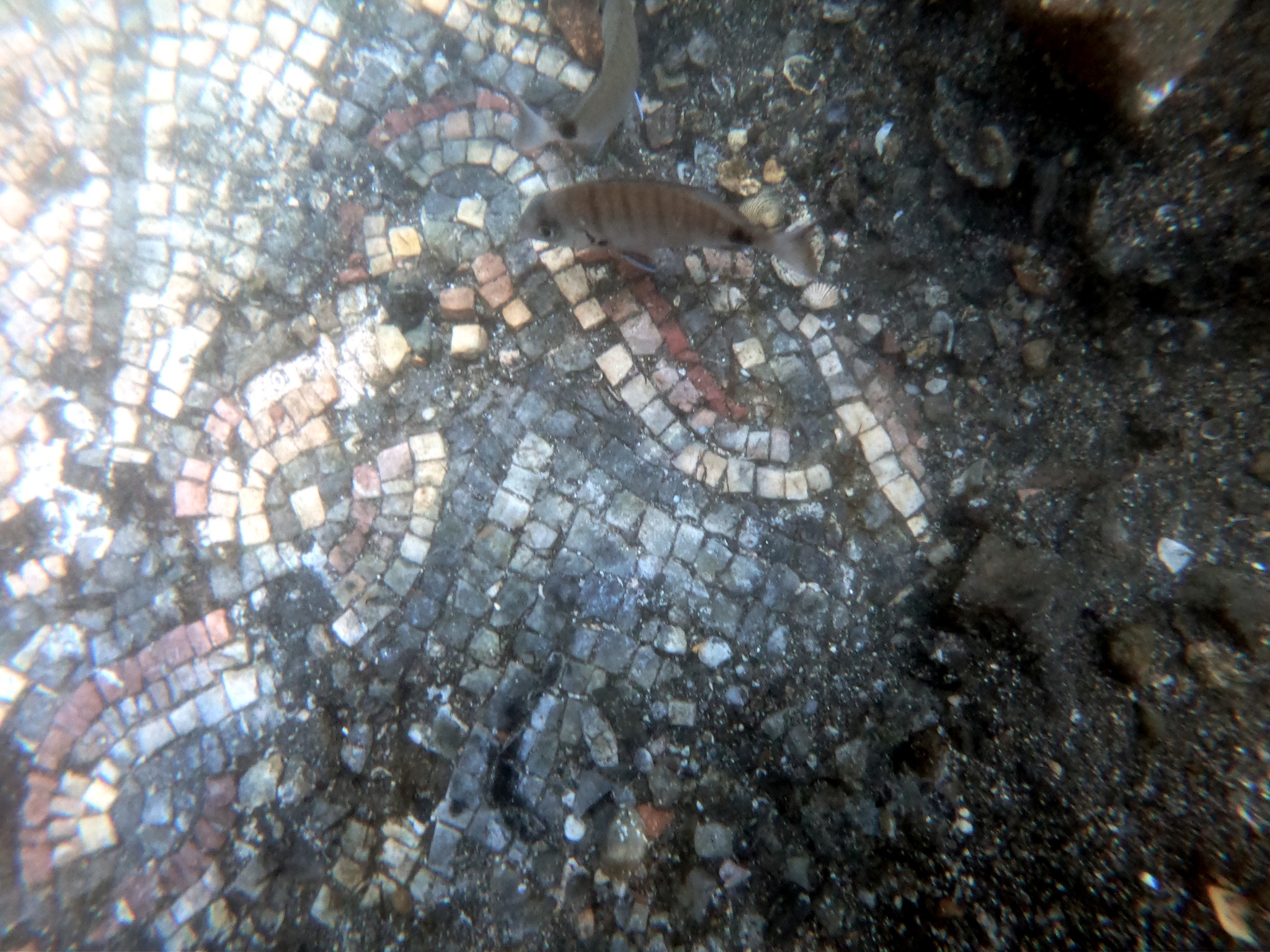 DCIM102GOPROGOPR6507.JPG