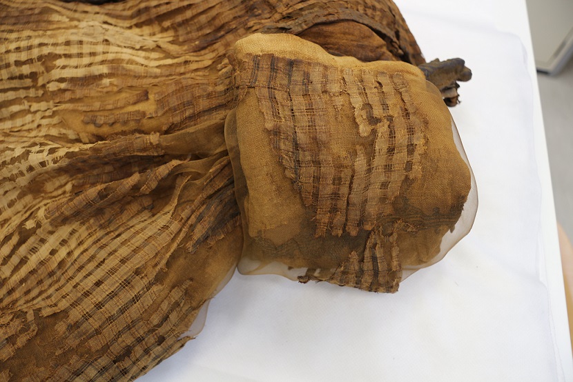 bologna_archeologico_16_Mummia_fanciullo_prima_tunica_foto-irene-tomedi