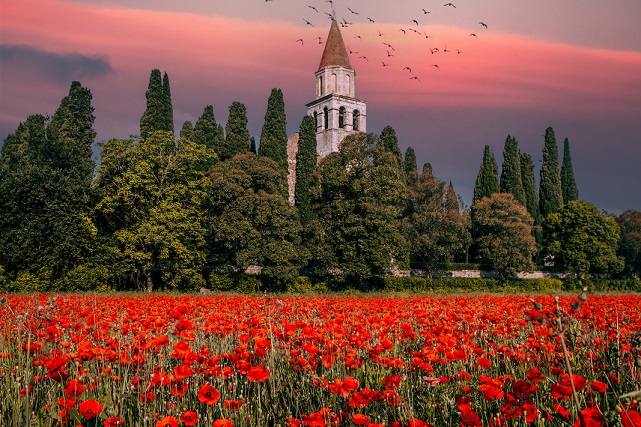 libro_aquileia-una-guida_incentro_panorama-con-papaveri-e-basilica_foto-N-Oleotto
