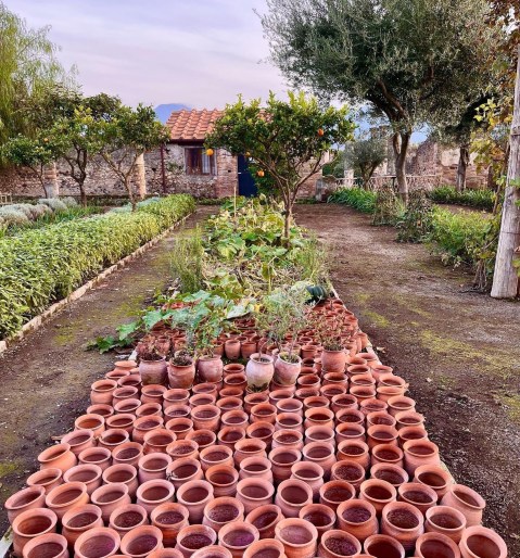 pompei_casa-di-pansa_Vivaio Flora Pompeiana (3)_foto-parco-archeologico-pompei