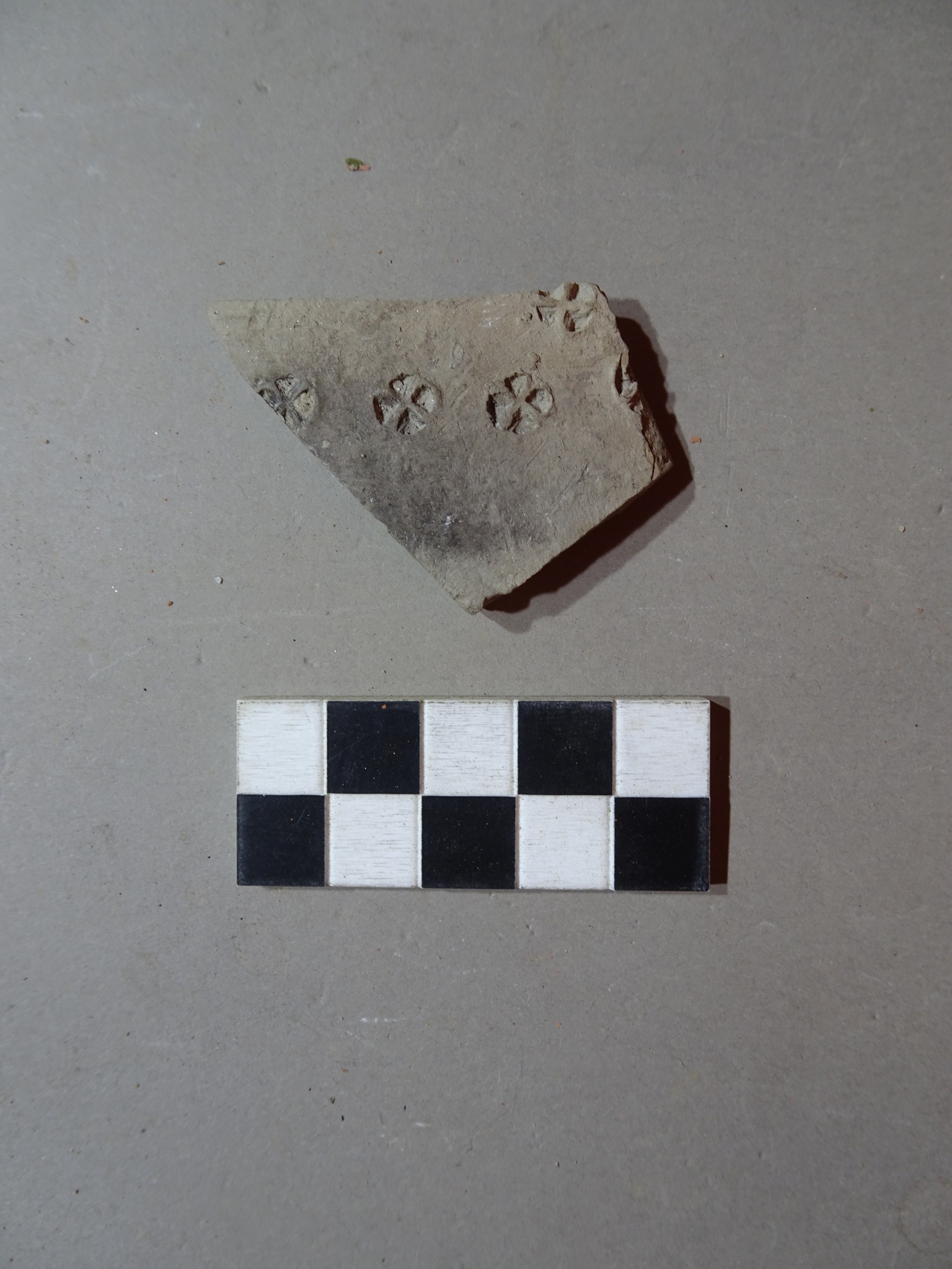 fano_scavi-via-vitruvio_ceramica-longobarda-con-stampigliatura-foto-sabap-pu