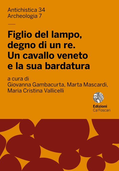 libro-figlio-del-lampo-degno-di-un-re_copertina