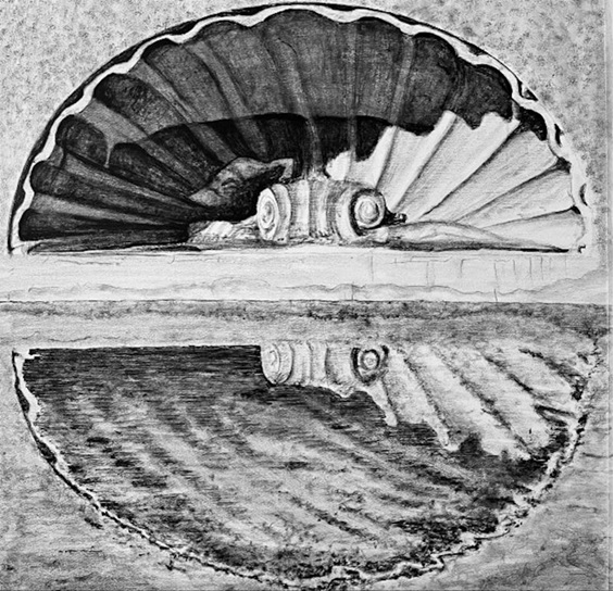 roma_villa-giulia_fai_ciclo-incontri-roma-l-acqua-e-la-città_1_locandina