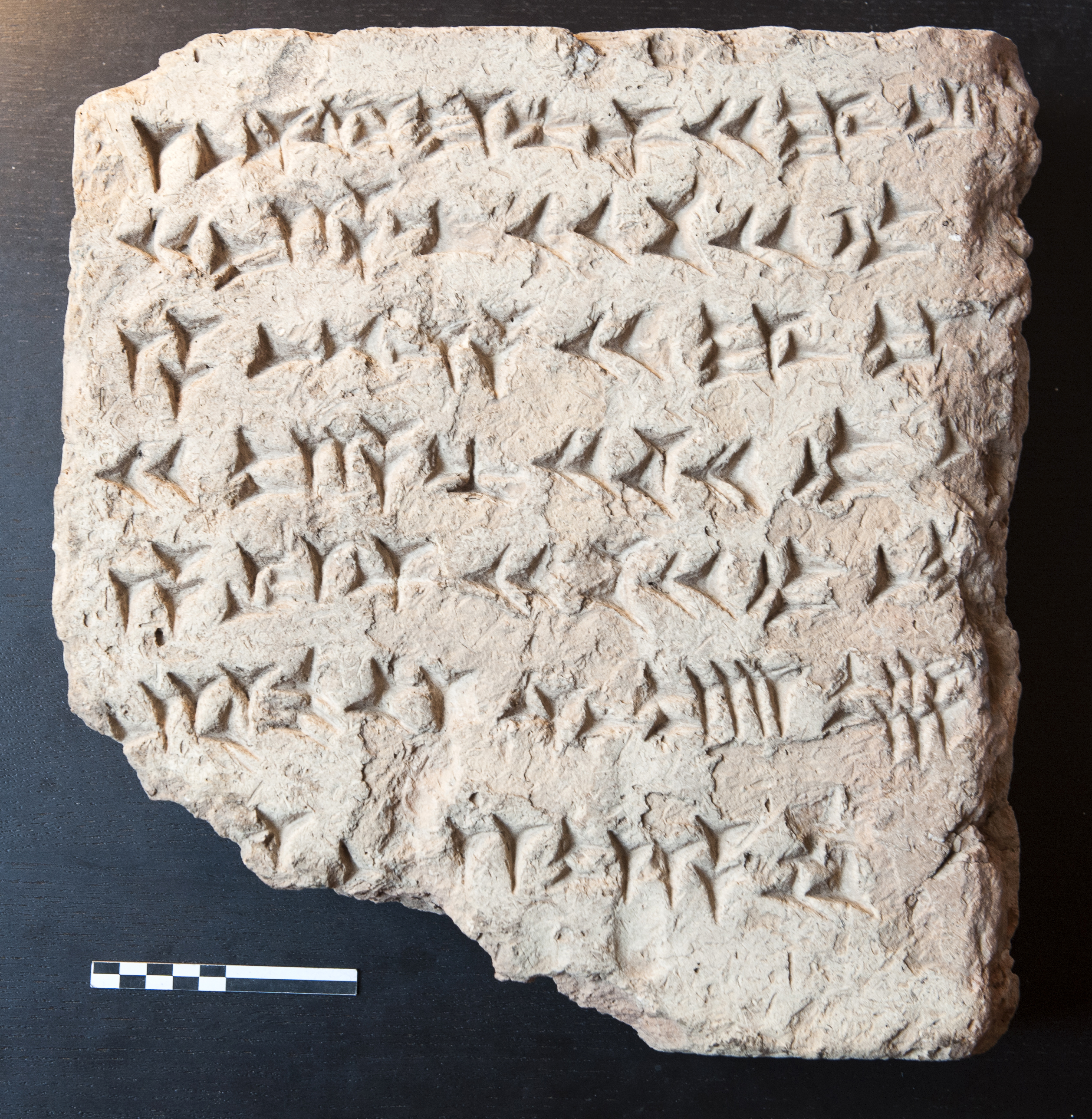 bologna_medievale_mostra-gli-assiri-all-ombra-delle-due-torri_mattone_foto-musei-bologna