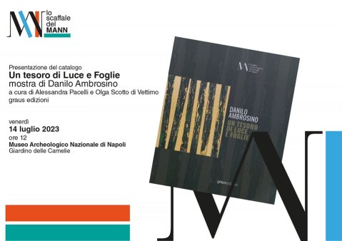 napoli_scaffale-del-mann_catalogo-un-tesoro-di-luce-e-foglie_locandina