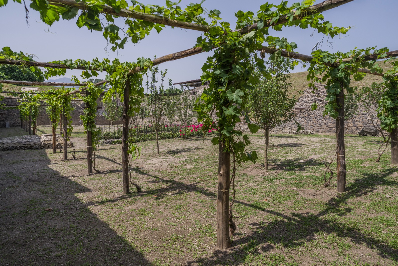 pompei_casa-nozze-d-argento_giardino_19_foto-silvia-vacca