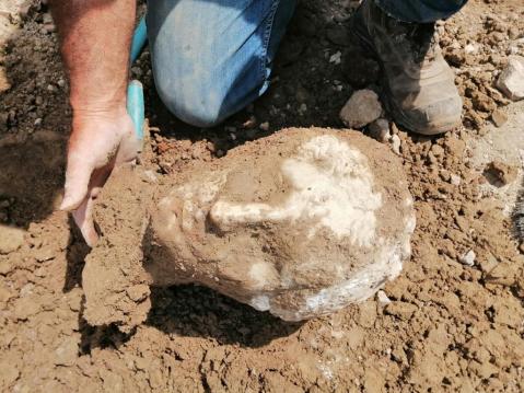roma_piazza-augusto_scoperta-testa-in-marmo_foto-sovrintendenza-capitolina