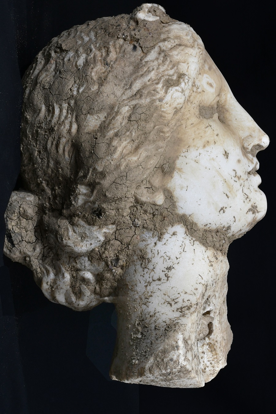 roma_piazza-augusto_scoperta-testa-in-marmo_ripulita_profilo-destro_foto-sovrintendenza-capitolina